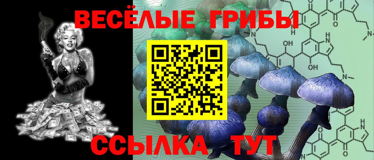 Галлюциногенные грибы Magic Shrooms Рузаевка