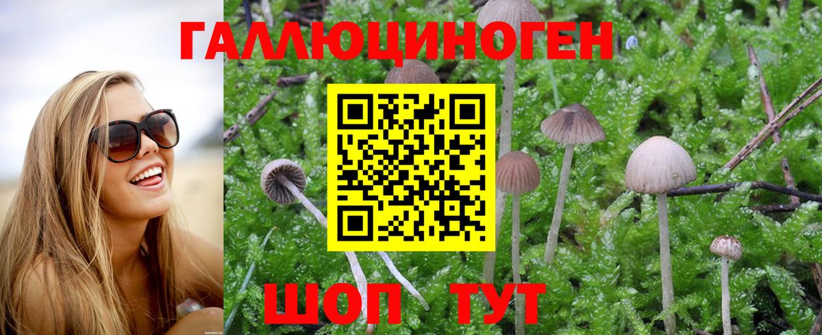 Псилоцибиновые грибы Psilocybe  Вход с VPN  магазин  наркотиков  Рузаевка 